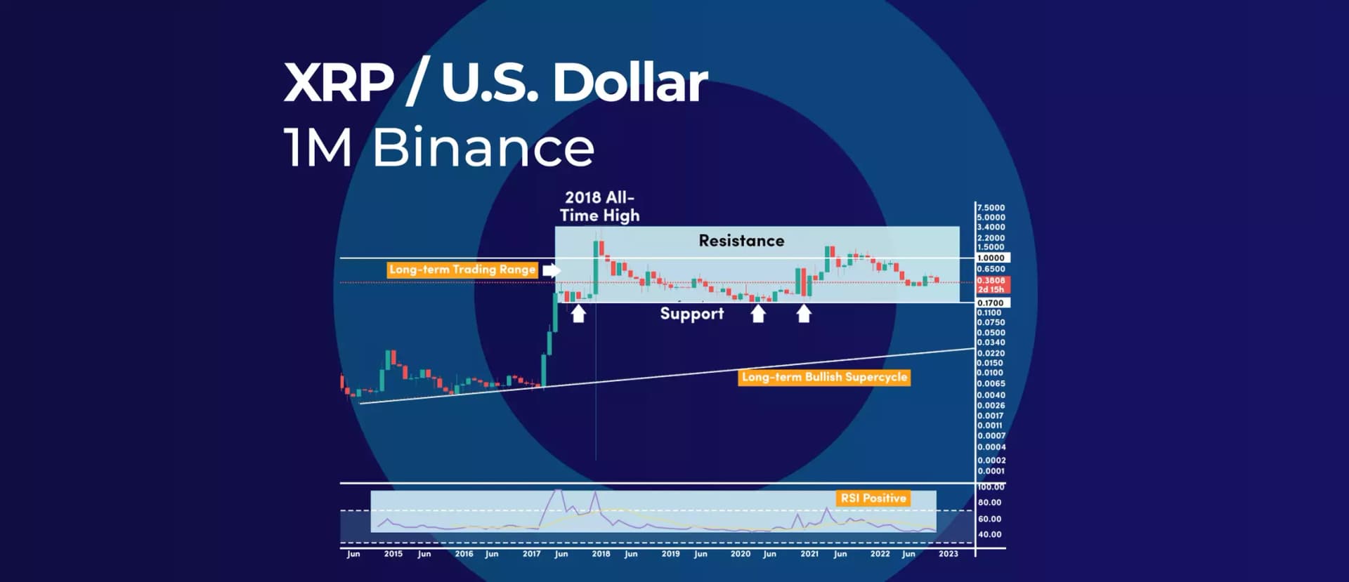 When Will XRP Bottom Out? 3 Key Things to Watch!