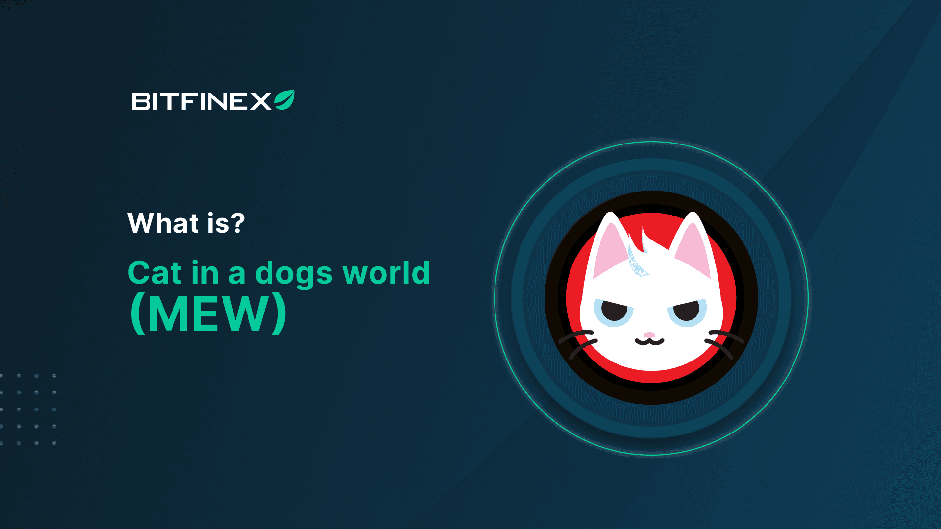 What is cat in a dog’s world (MEW)?