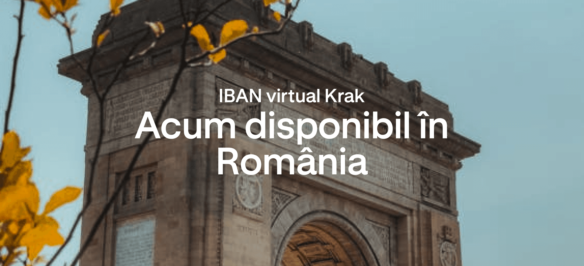 Your salary account. Your Romanian IBAN. Your money, earning from Day One.